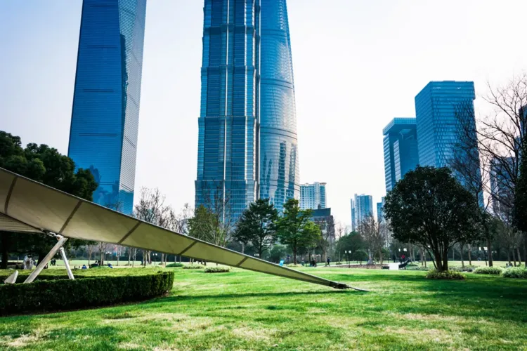 Saudi Green Economy Strategy for a Large Public-Sector Entity